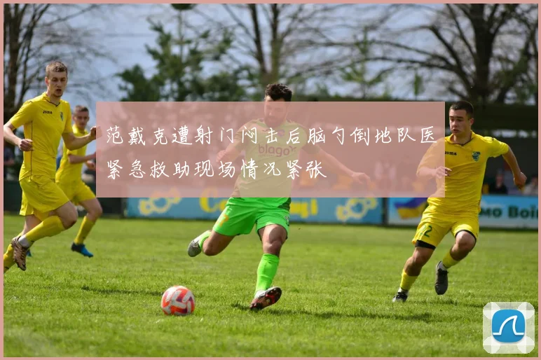范戴克遭射门闷击后脑勺倒地队医紧急救助现场情况紧张